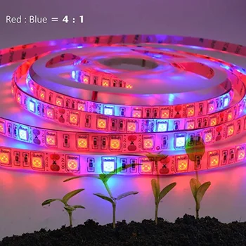 

Potted Cultivation Outdoor Garden Indoor Plants Agriculture LED Grow Light Strips Home With Adapter Waterproof Remote Control