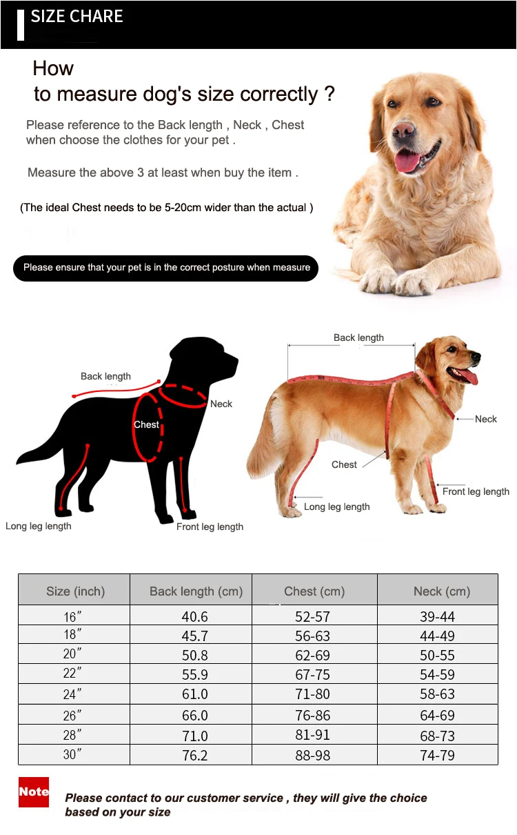 O1CN01IFVtcJ1Qkud6nZD5k_!!2340322015