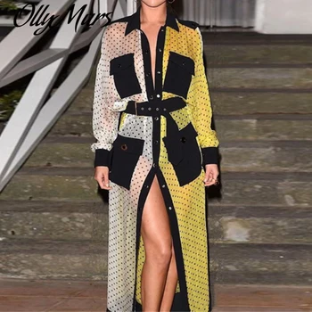 

2020 New Autumn Runway Fashion Designer Dress Women's Shirt Collar Dot Print Color Block Long Dress