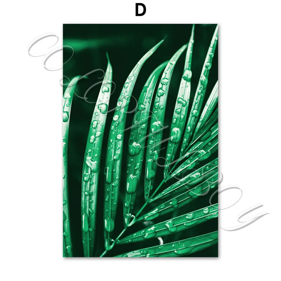 Свежие зеленые большие тропические растения и листья плакаты на скандинавскую тему и репродукции, настенное искусство напечатанная Картина на холсте настенные картины для гостиной - Цвет: D