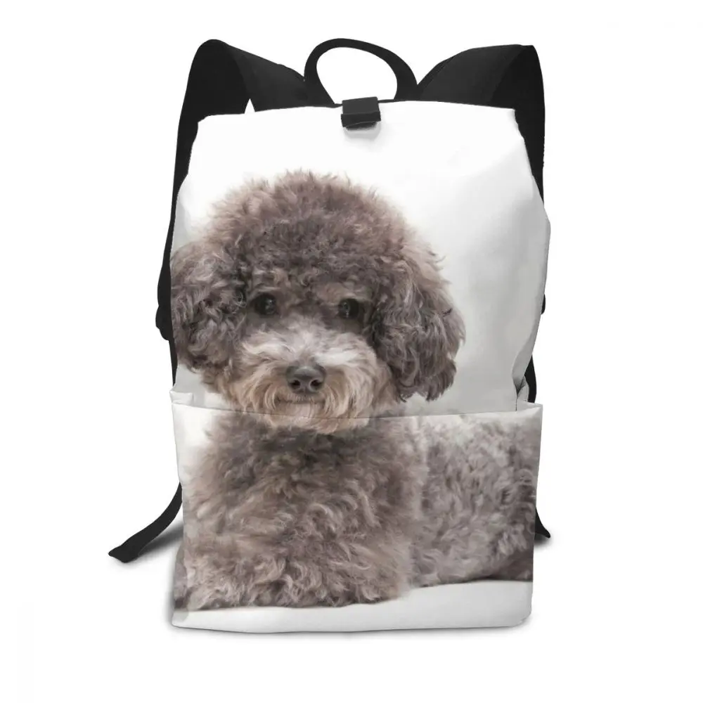 Рюкзак Для Пуделя, рюкзаки для пуделя, многофункциональная сумка с принтом, трендовая сумка для мужчин и женщин, высокое качество, дорожные Подростковые Сумки - Цвет: Toy Poodle