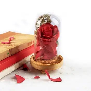 

Glass Dome Light Silk Sesame Flower Lights with LED Light Strings Saved on Wooden Base