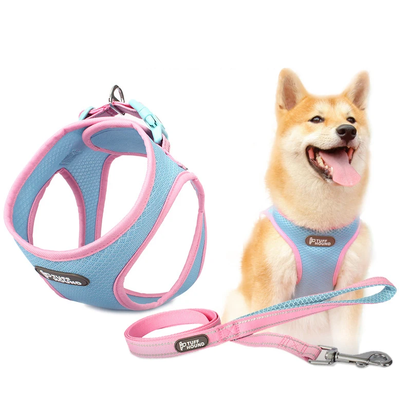 Arnés de perro y correa de arnés gato de malla transpirable arnés de mascota ajustable cachorro gato collarín chaleco Pequeño medio perros Chihuahua