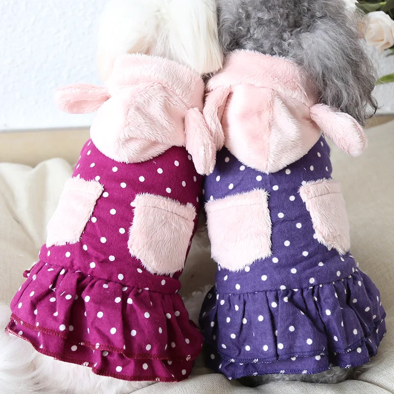 19AW70 (1)