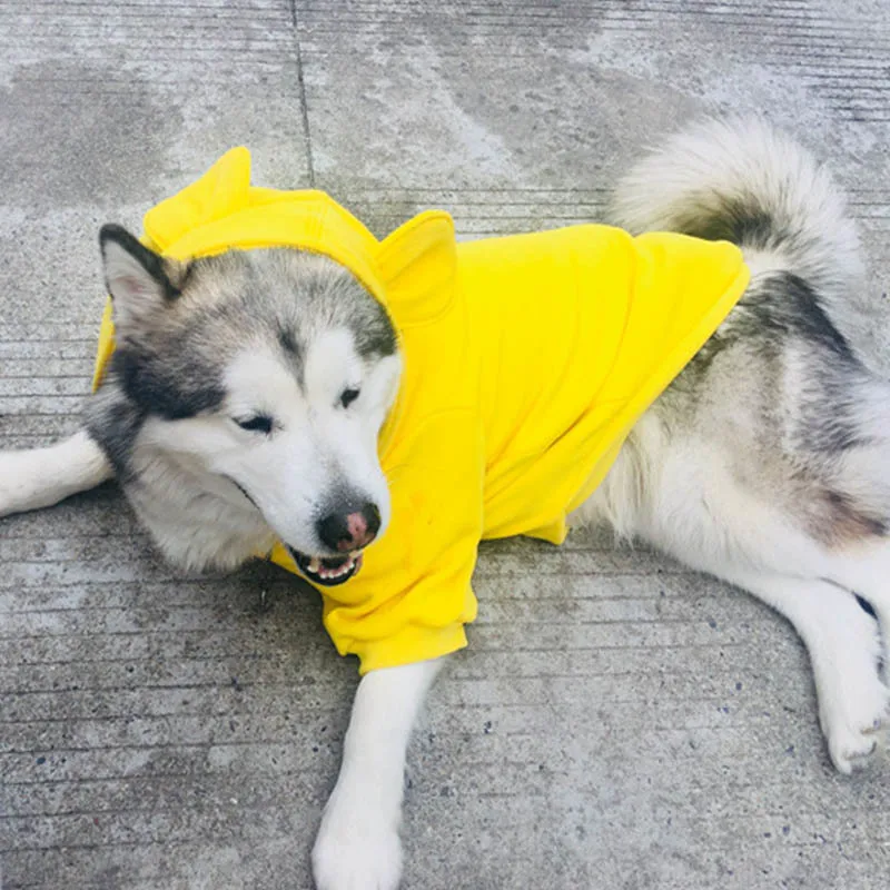 Bear Dog Hoodie - Image 5