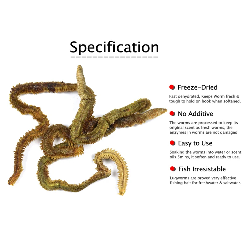 1 мешок морской песчаник сушеный Lugworm/песок червь приманка рыболовная приманка лещ flatthead треска бас