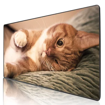 

XGZ Cute Big Fat Cat HamstersGaming Mouse Pad Table Keyboard Mat Coaster Rubber Anti-skid Large Size Mousepad Support To Custom