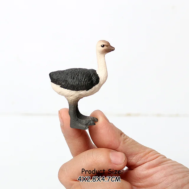 Wild Birds Animals Turkey Macaw Owl Eagles Ostrich Pelican Figurines Toy  Animal Action Figure Learning Education Birds Gifts - Action Figures -  AliExpress