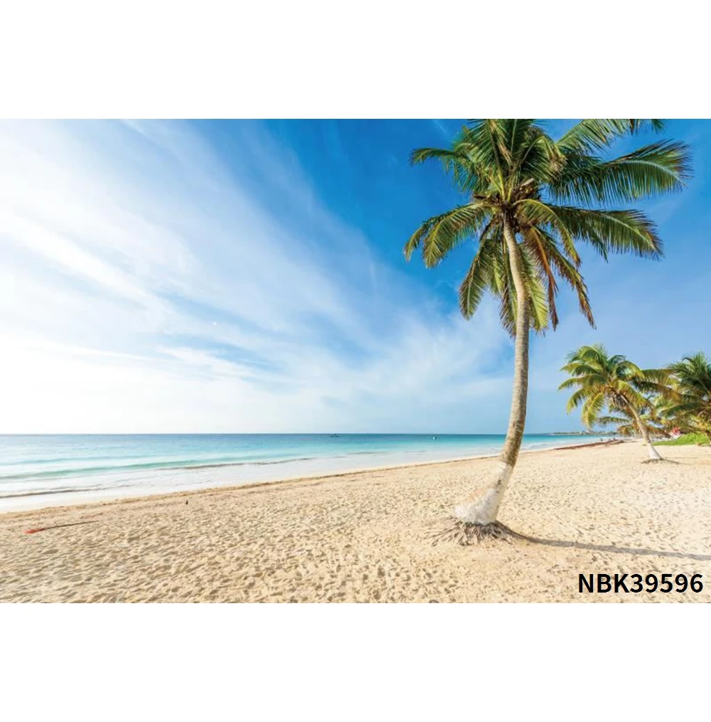 CdHBH 20x15ft Seaside Beach Backdrop Summer Holiday Photography Background Soft Beach Blue Sea Blue Sky Backdrops Beach Chair Palm Trees Props
