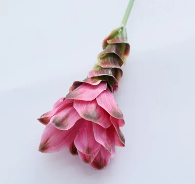 2 шт., 66 см, Искусственные пластиковые цветы Curcuma Alismatifolia, имбирный цветок лотоса, несколько цветов для украшения дома, свадьбы - Цвет: deep pink