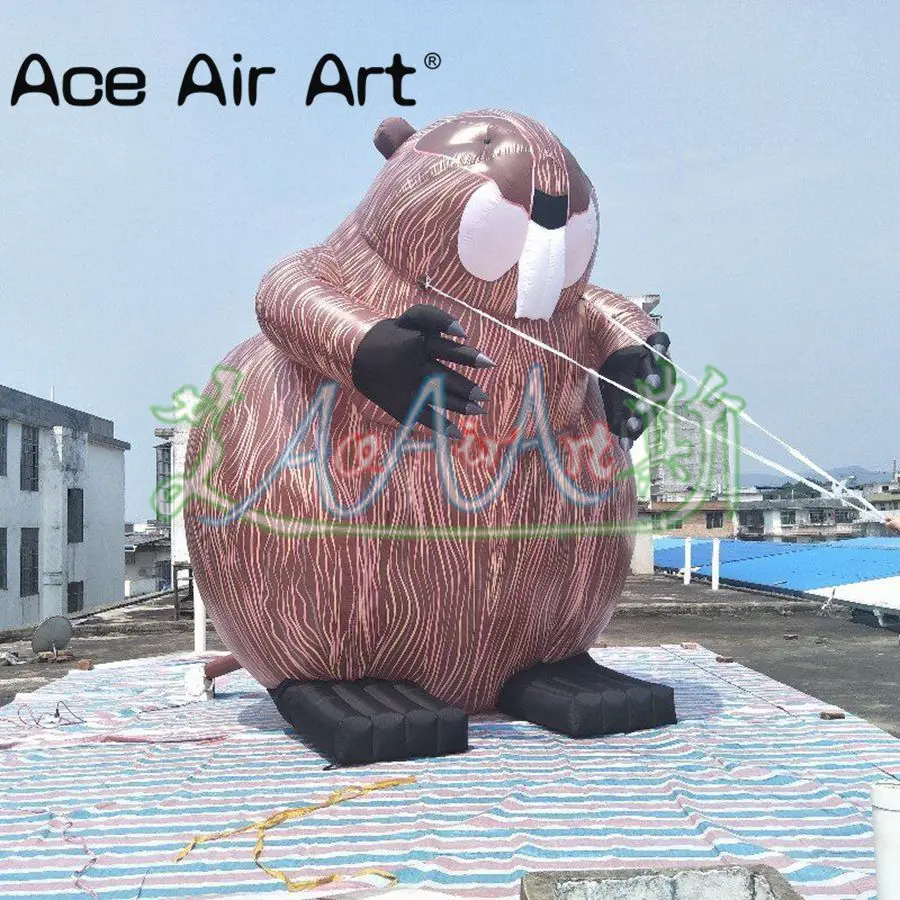 4 m tall Giant and Laborious Canadian People's mascot Inflatable Beaver for Advertising in Canada