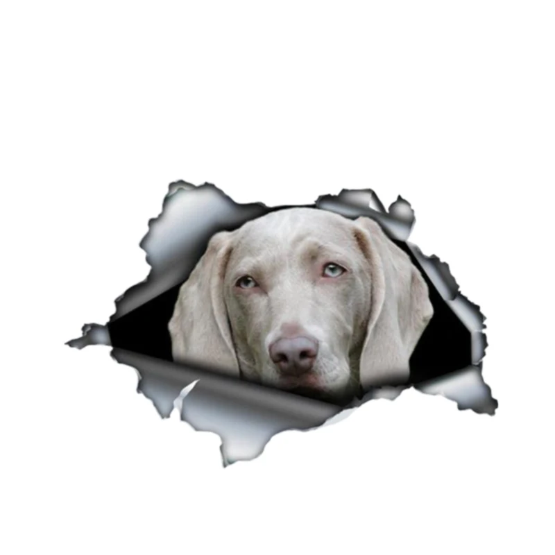 

Personality Gray Weimaraner Car Sticke Vinyl Waterproof Car Window High Quality Accessories Cover Scratches PVC 13cm X 9cm