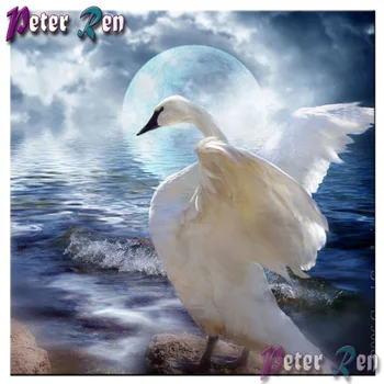 

5d full Square/round Animal white swan Diamond painting cross stitch Rhinestones diamond embroidery Handmade art decoration