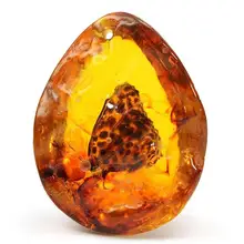 

Amber Butterfly Insects Natural Rough Stone Beautiful Pendant Necklace Gemstone For DIY Jewellery Crafts Gift Collect Souvenirs