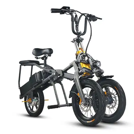 portable electric tricycle