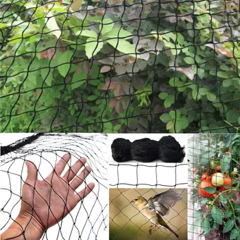 

Black Outdoor Bird Net Snake Nylon Black Garden Bird Net Plant Fruit Tree 5cm Square Mesh Protective Mesh Belt