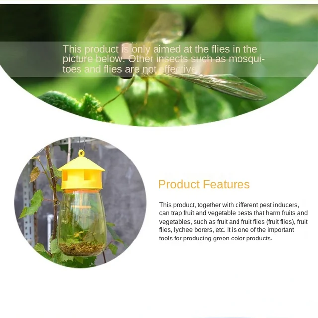 1 Pc Wasp Fly Trap Fruit Légy Rovar Hibás Lógó Méz-Csapda Fogó Gyilkos No-Poison Függő Fa Kártevőirtó Szerszám - Image 6