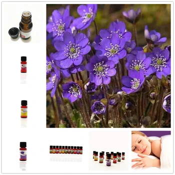 

100% Original Datura Essential Oils for Humidifier Fragrance Gardenia Air Fresh Aromatherapy Essential Oil Increase Affinity