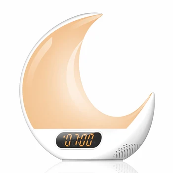 

Wake-up Light Alarm Clock USB Charging Clock with Snooze FM Radio Bedside Lamp