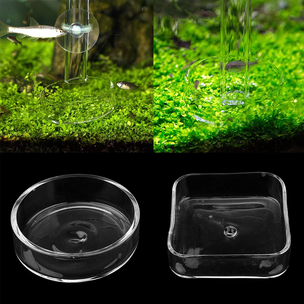 Aquarium Glass Shrimp Feeding Dish Bowls, Water Food Dish Feeder Bowl - Round/Square to Choose