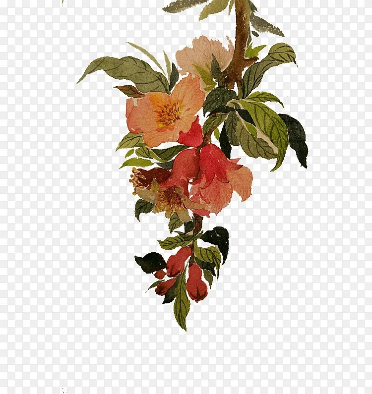 国画石榴花png图片素材免费下载 图片编号qlvdgkjx Pngbag素材网