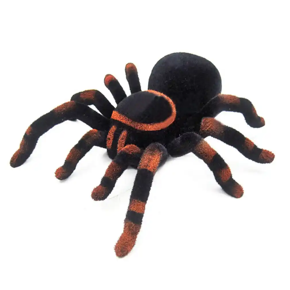 wall climbing spider