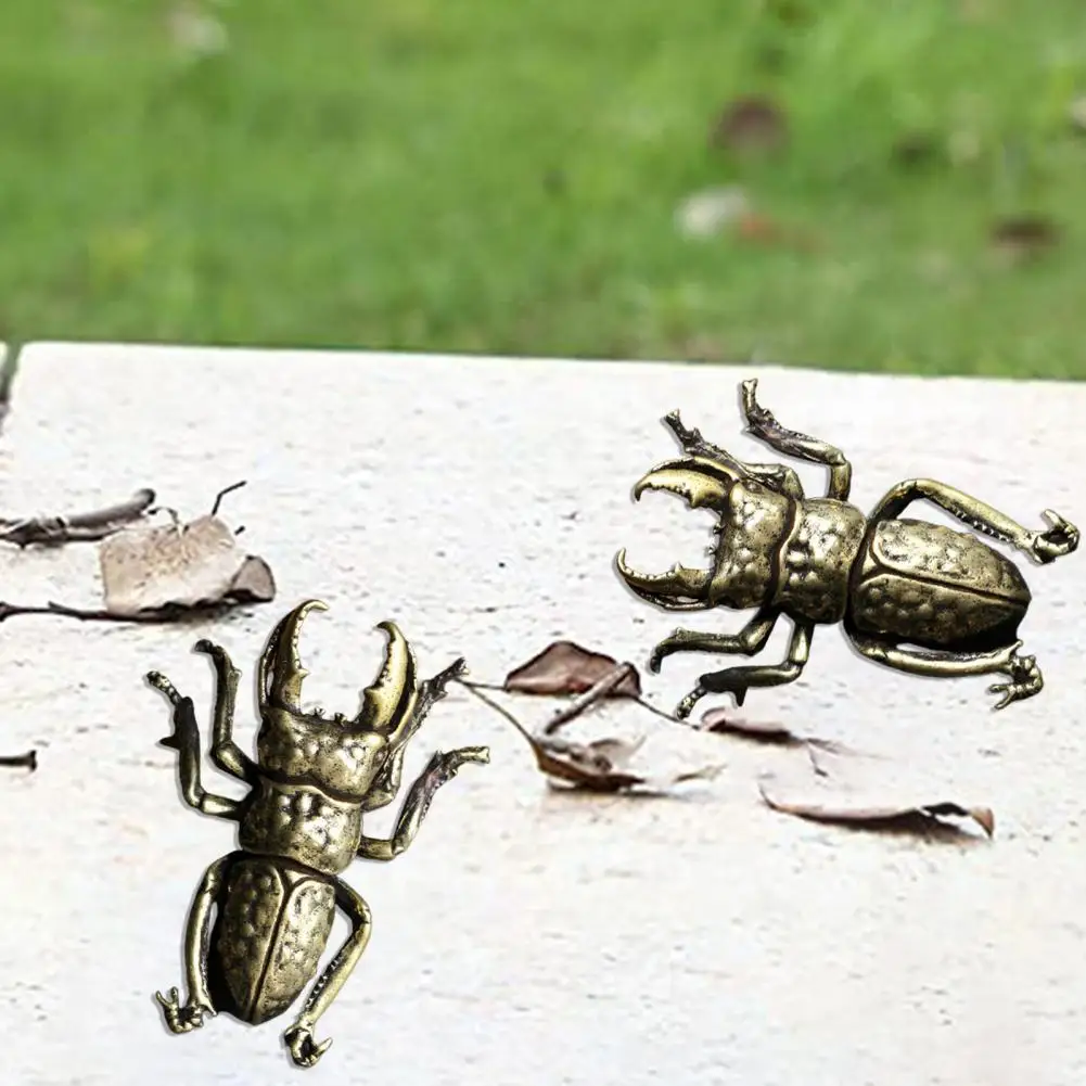 beetle-bronze-color