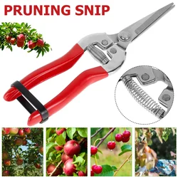 Sécateur à main pour le jardinage, cisailles de taille à micro pointes, coupe feuilles, ciseaux de fleuriste droits pour plantes, outil de jardin 