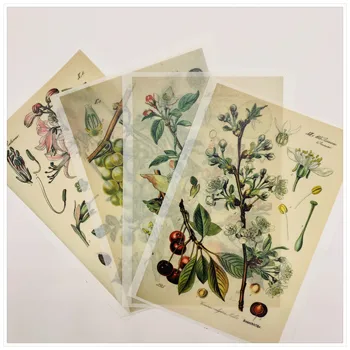 

12Pcs/Bag Vintage A6 Plants Flowers Sticker DIY Craft Scrapbooking Album Junk Journal Happy Planner Decorative Stickers