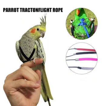 

New Hot Adjustable Parrots Bird Harness Leash Anti-Bite Training Rope Outdoor Flying Harness Leash SMD66