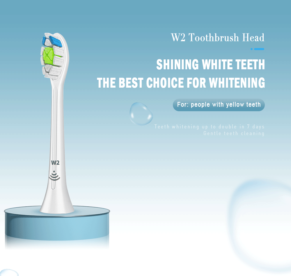 Brush Heads Replacement Compatible with Phillips Sonicare Electric Toothbrush DiamondClean, HealthyWhite, FlexCare HX6064 HX6730 Brush Heads Replacement Compatible with Phillips Sonicare Electric Toothbrush DiamondClean, HealthyWhite, FlexCare HX6064 HX6730
