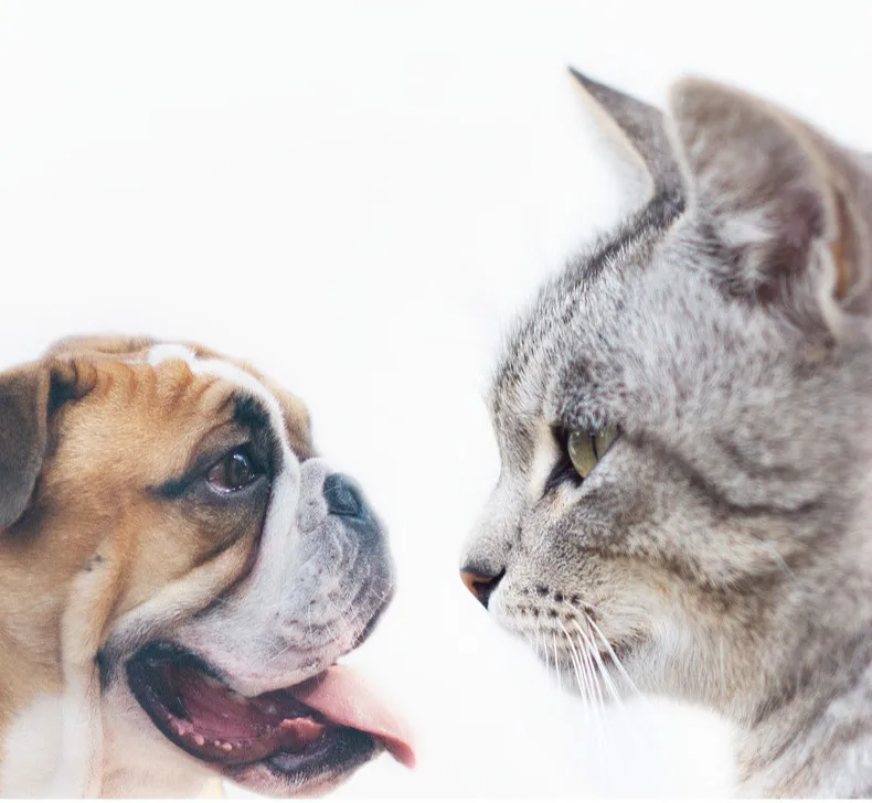 Собак и кошек Применение глаз влажные Полотенца собака и кошки, чтобы удалить разрыв Знаки и удаление мешков под глазами фекалий моющие средства