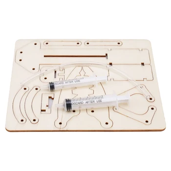 

Science And Technology Student DIY Piston Hydraulic Mechanical Arm Model Material Experiment Toy Beneficial Wisdom