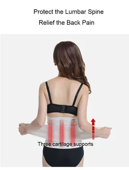 

Adjustable Orthopedic Waist Brace Support Therapy Lumbar Waist Posture Corrector Bandage Belt Lower Back Pain Waist Trainer Belt