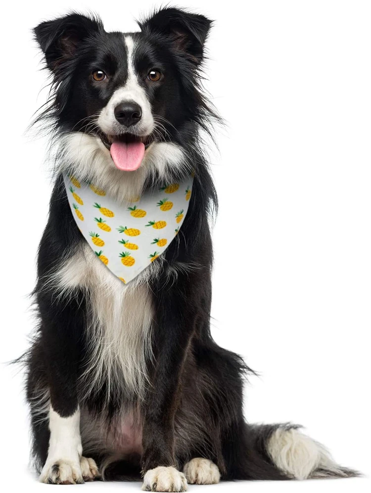 1 - 71Z2XNflpQL._AC_SL1500_