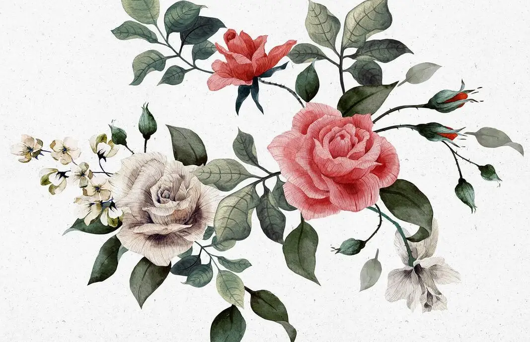

Moss Rose flower VINTAGE Art Film Print Silk Poster Home Wall Decor 24x36inch