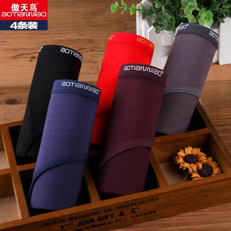 Рисунок 6 - Трусы-брифы мужские из модала