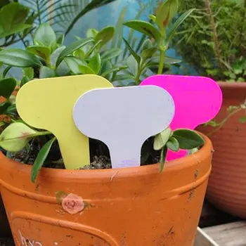

100Pcs Plastic T-type Garden Tags Ornaments Plant Flower Label Nursery Thick Tag Markers for Plants Garden Decoration