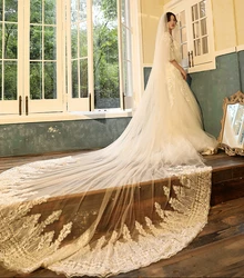 New Arrival Champagne Long Wedding Veil  Lace Appliques Bridal Veil Wedding Accessories for Bride 2020 In Stock