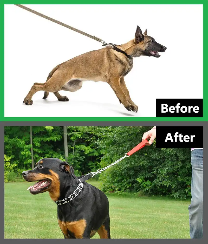 dog shock collar rubber tips