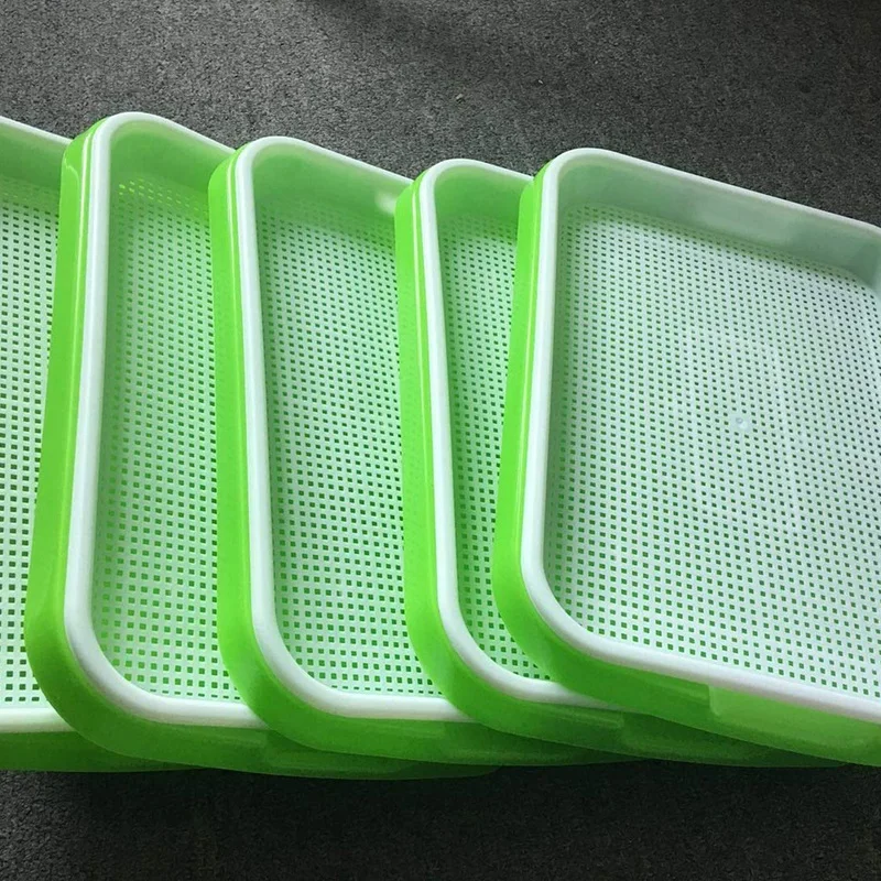 проращиватель семян для микрозелени. Greenart проращиватель. лоток для микрозелени 250 мл. лотки для микрозелени. лоток для микрозелени 750.