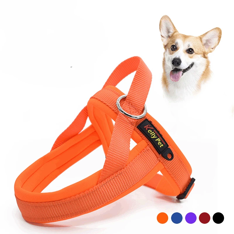 orange neoprene dog vest