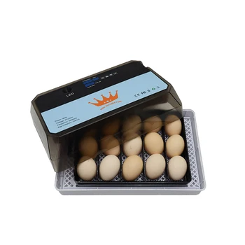 

15 Eggs Brooder with LED Testing Function Automatic Intelligent Quail Parrot Brooder Egg-Turner Household Incubator