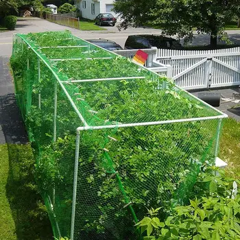 

Anti Bird Netting Melon Fruit Morning Glory Vine Net Flower Vine Cucumber Trellis Netting Plant Net Garden Mesh Protect