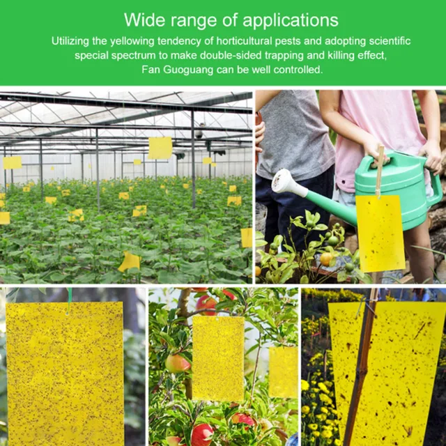 Erős Legyek Csapdák Rovarok Ragadós Tábla, Amely Levéltetű Kártevő Gyilkos Szúnyogleply Rovar Ragasztó Matrica Légykapó - Image 4