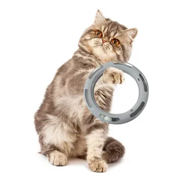 

Interactive Pet Playing Toy For Cats Kitten For Catch Game Scratch-resistant Exercise Tract Ball Toy