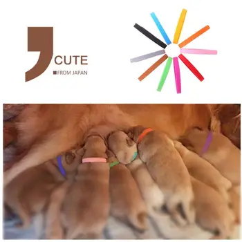 

Easy Wear Adjustable Nylon Cat Dog Footprint Safety Necklace Collar With Bell Puppy Pet Chihuahua Chain Supply Animal Accessory