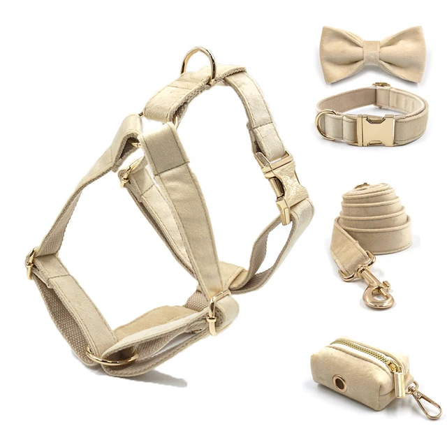 Dog Collar Luxury Designer Gold Buckles Custom Dog Harness with Collar Leash Set Pet Collar for Medium Big Bulldogs 1