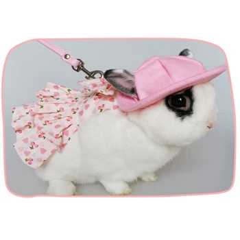 Lovely-Small-Animal-Rabbit-Walking-Clothes-Outdoor-Vest-Harness-with-Traction-Harness-Mini-Hat-Bag-Hamster.jpg