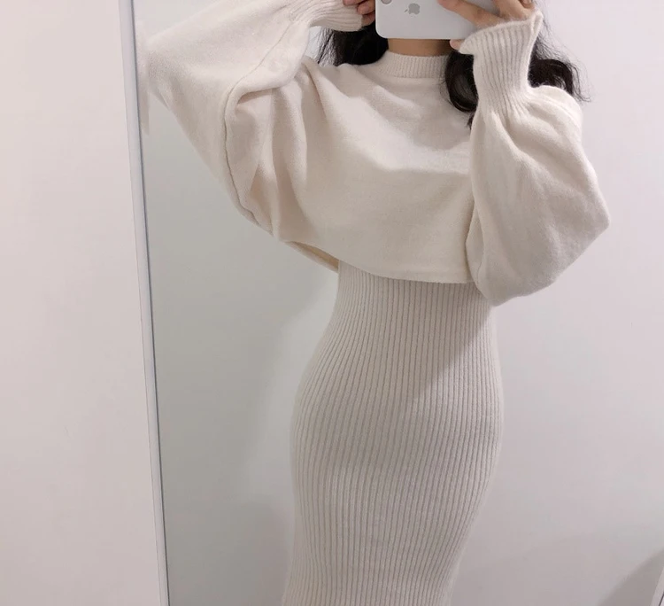 描述(17)